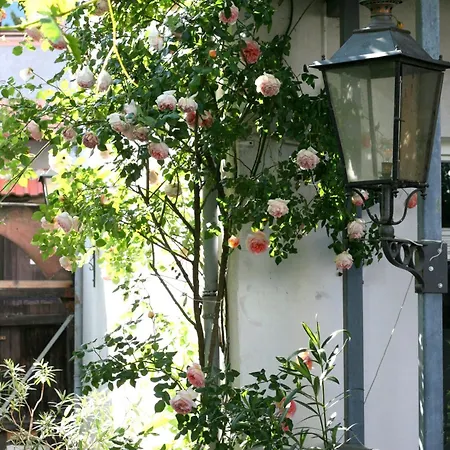 Appartement Appartent Im Garten *