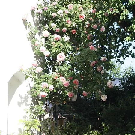 Apartamento Appartent Im Garten Worms