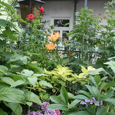 Apartamento Appartent Im Garten