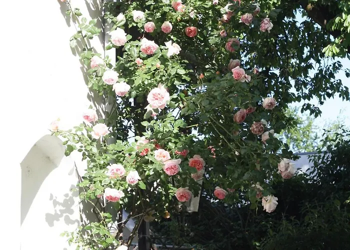 Apartamento Appartent Im Garten Worms