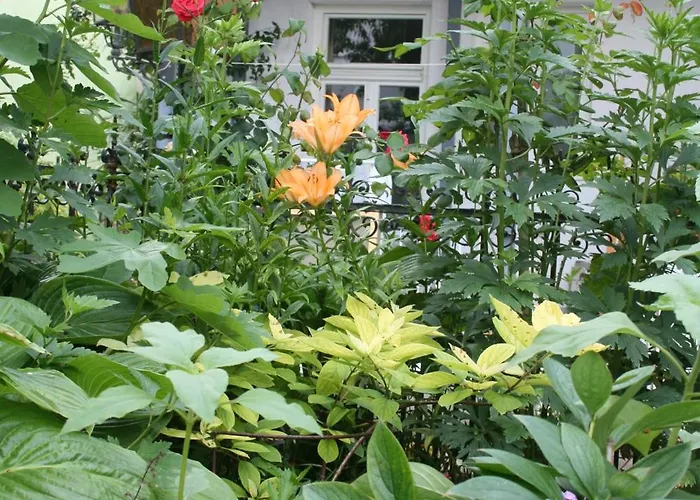 Apartamento Appartent Im Garten